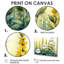 Herbes à la lumière du soleil de l'été IV - ensemble de 3 herbes-2140531128-2140531133-2140531265