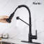 Rainlex Pull Down Kitchen Faucet
