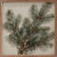 Simple Pine Branches-952538432