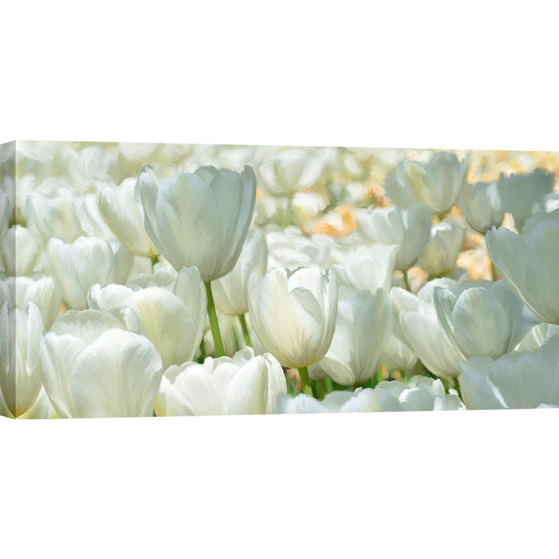2LC6218 Field Of White Tulips by Luca Villa - Wrapped Canvas Art Prints, 35cm H x 70cm W x 4cm D