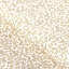 Coralcoast-1002812167