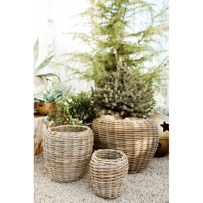 Garden Basket Large, 17" x 16" x 16"