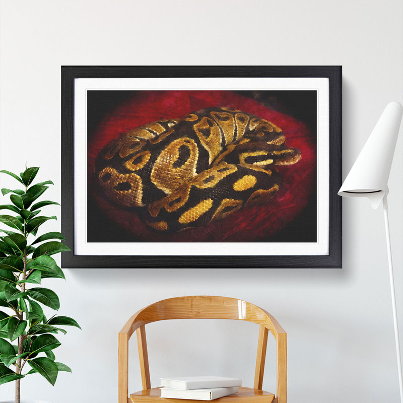 Python Snake - Framed Print, 27cm H x 36cm W x 2cm D, Black Framed