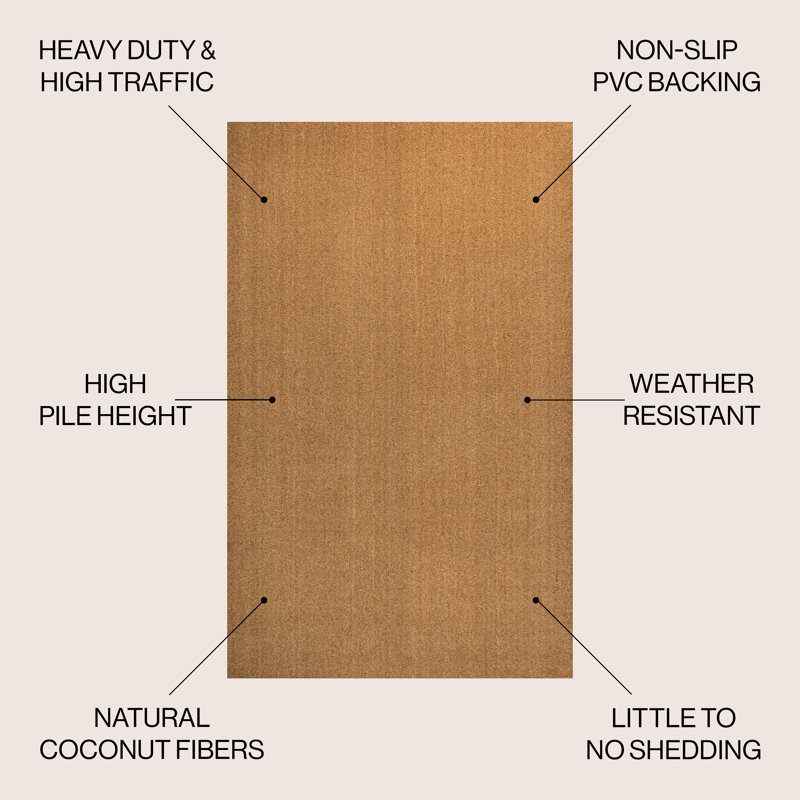 Tapis d'intérieur / extérieur Kalonni, L 24 po x L 48 po, Light Brown