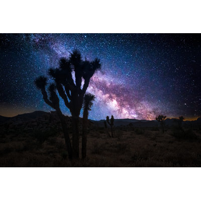 Joshua Tree And Stars - Wrapped Canvas Print