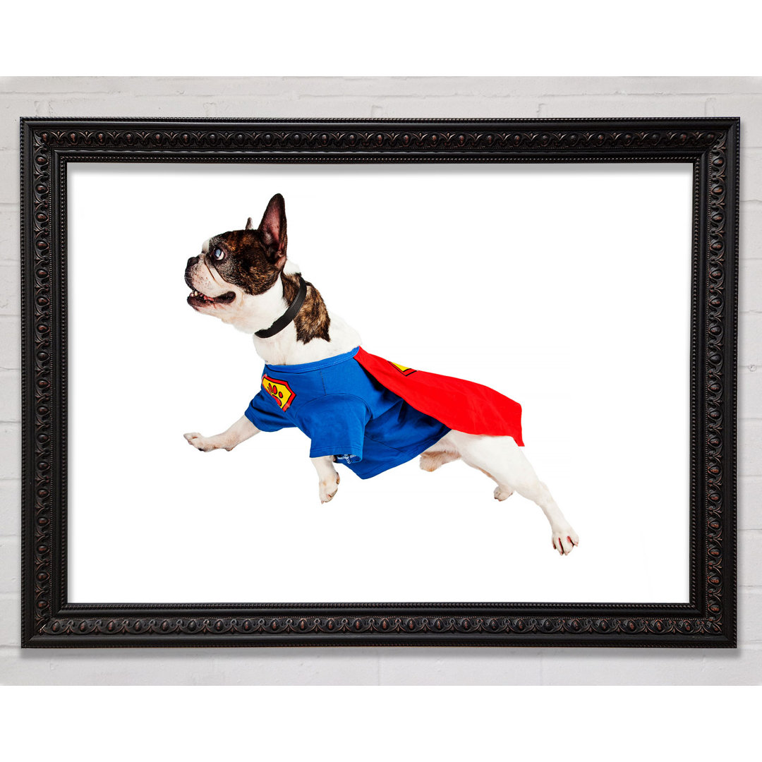 Super Dog - Einzelner Bilderrahmen Kunstdrucke