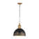 Luminaire suspendu 1 lumière Regena