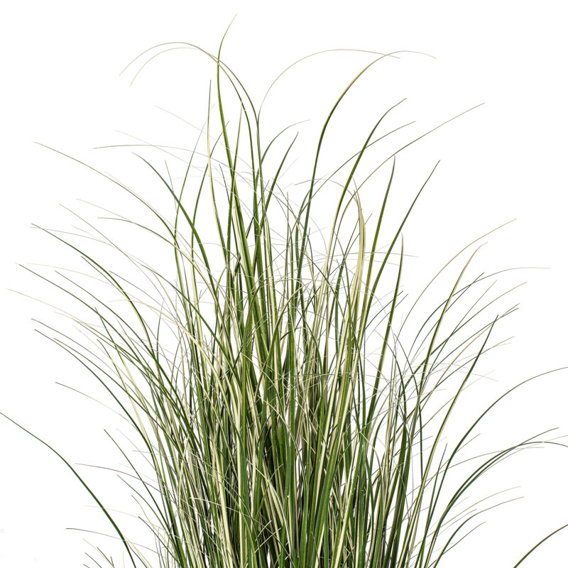 Artificial Potted Native Green Grass., 72" H x 38" W x 38" D