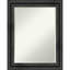 Miroir mural biseauté Petite-1655759972