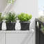  Square Flower Pot 6 Pcs Plastic-354333273-354333277