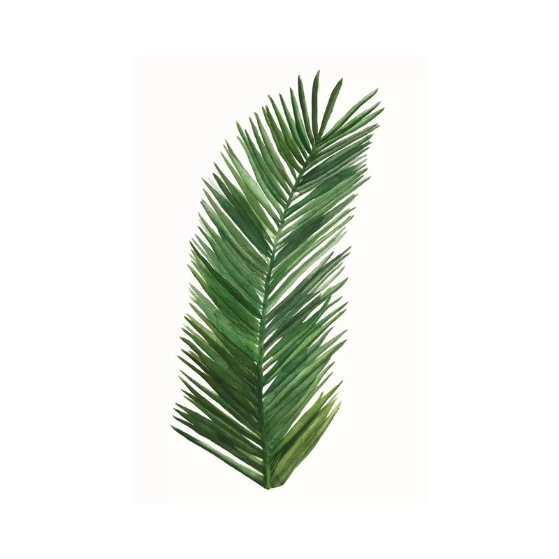 Tropical Breeze Leaves V by Naomi McCavitt - Wrapped Canvas Print, 101.6 cm H x 66.04 cm W x 1.91 cm D