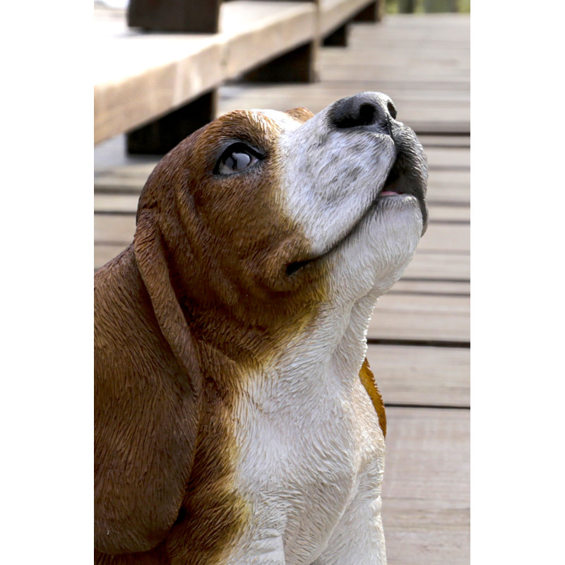 Basset hound chiot