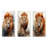 Intense Lions Gaze Realism - Lion Metal Wall Decor Set Of 3-565373672