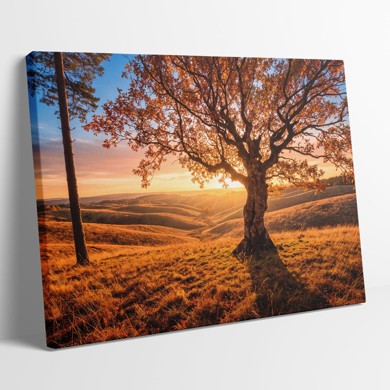 Tableau multicolore sur toile représentant un coucher de soleil sur un arbre, œuvre d'art mural pictural pour le salon, la salle à manger et la chambre.