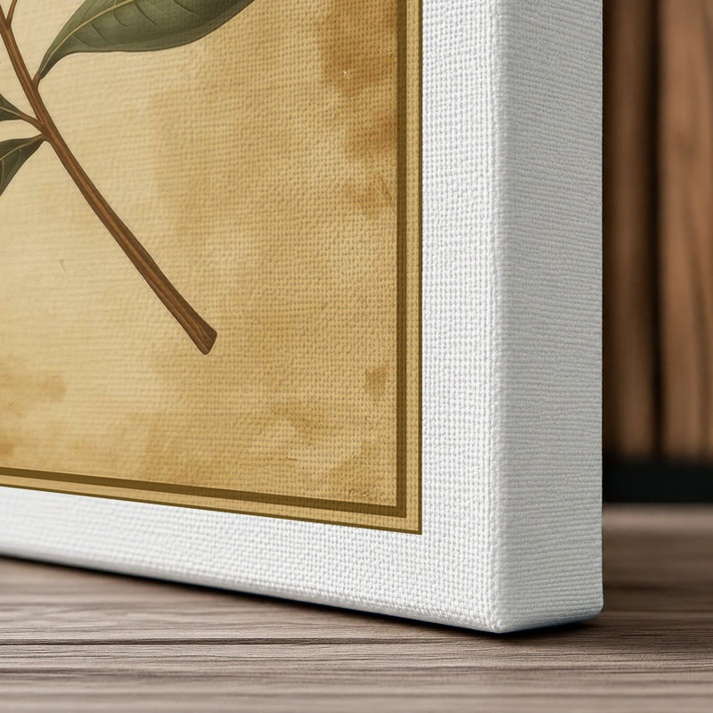 Olive Branch Study Botanical - Wrapped Canvas, White Border, 30x20 - 76.2 x 50.8 cm