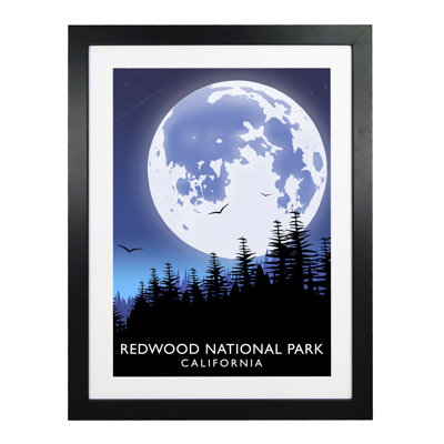 'Redwood National Park' 1 Piece Wall Art