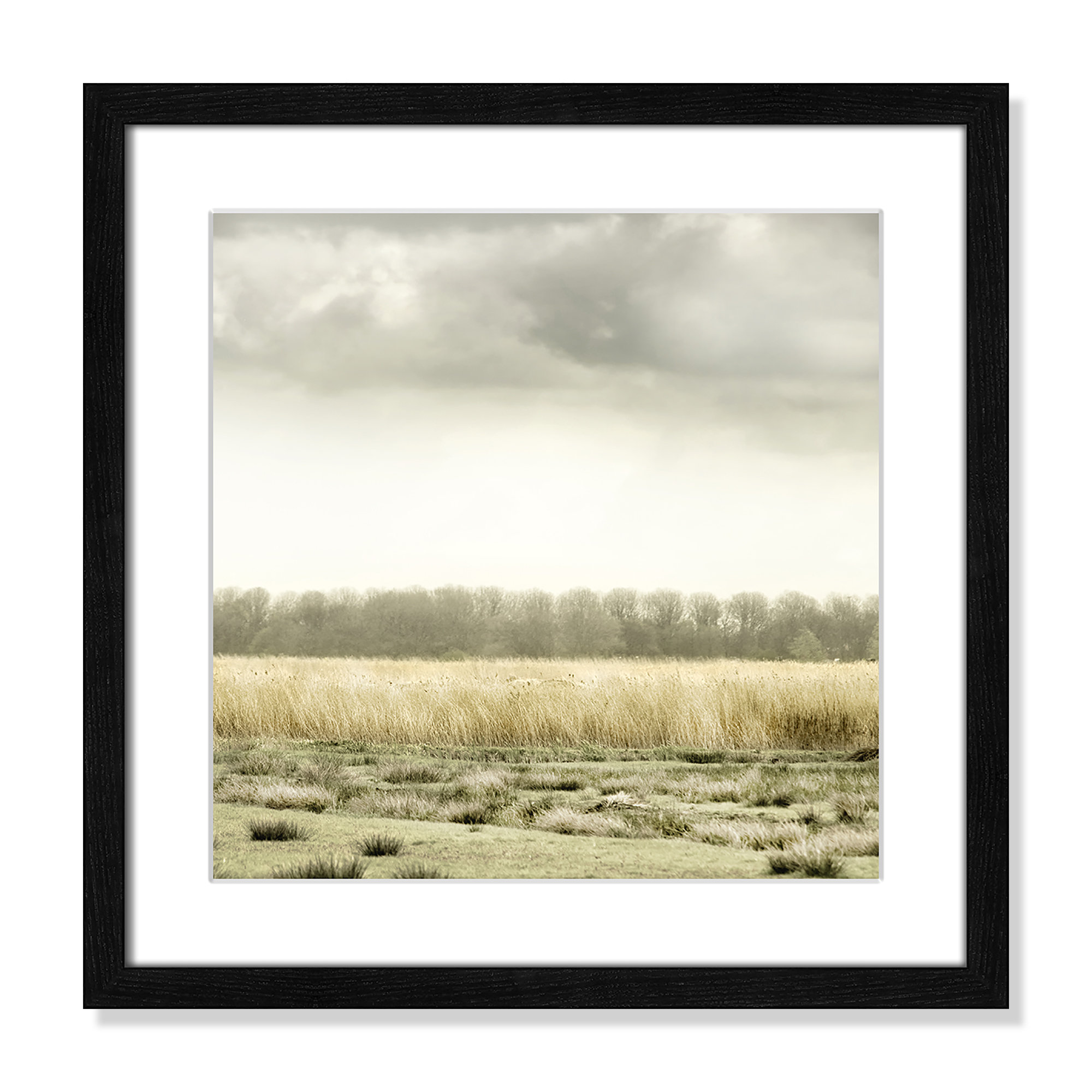 Meadowland by Danita Delimont - Picture Frame Photograph, Black Wood Grain, 18.25" H x 18.25" W 
