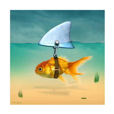 Art mural sur toile tendue - «Gold Fish» de Mark Ashkenazi pour décoration de salon, de chambre à coucher ou de bureau - 24 x 24