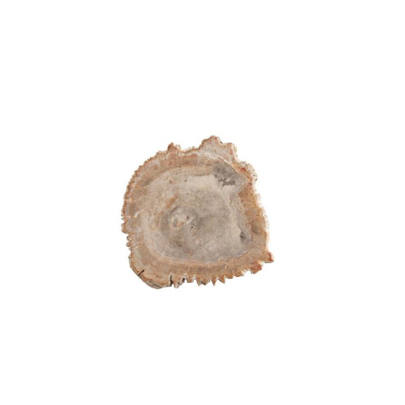 Petrified Slice Cheese Board & Platter, 10" W