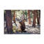 «Elk In The Woods» bolognaise sur toile-98248732