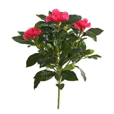 Douille de gardenia beauté