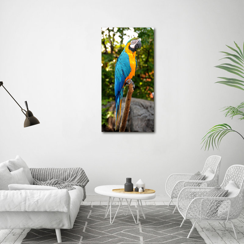 Ara Parrot - Wrapped Canvas Print