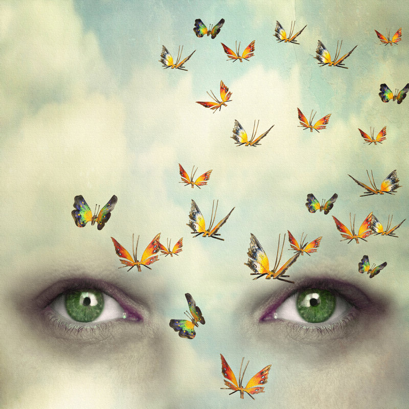 Mind Flying - Wrapped Canvas Print, 122cm H x 122cm W x 3.8cm D