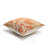 Outdoor Throw Pillow-1393146387