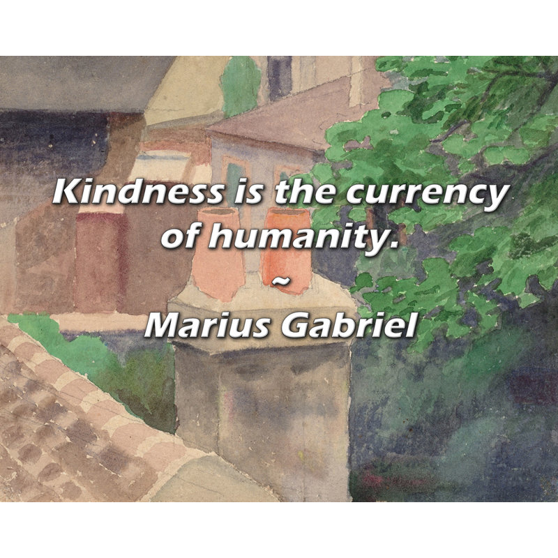 Marius Gabriel Quote: Kindness is the currency of humanity.