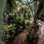 Photos des clients 1 de 4