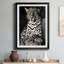 " African Leopard "-565968687-565968684