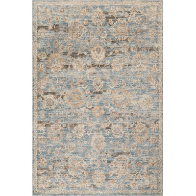 Cynedra Traditional Vintage Floral Area Rug