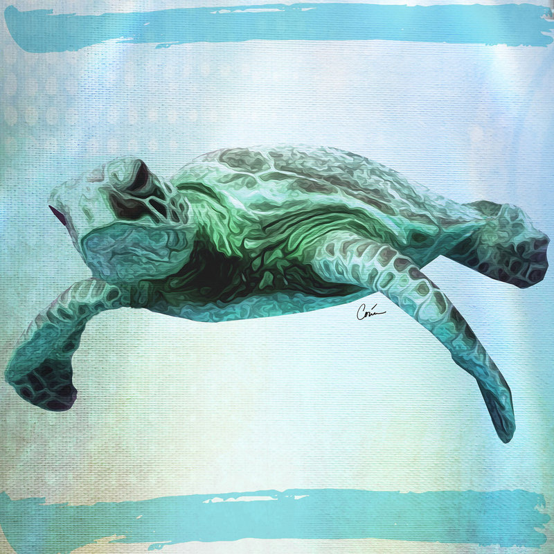 Ensembles de housses de couette DiaNoche par Corina Bakke - Tortue de mer 7