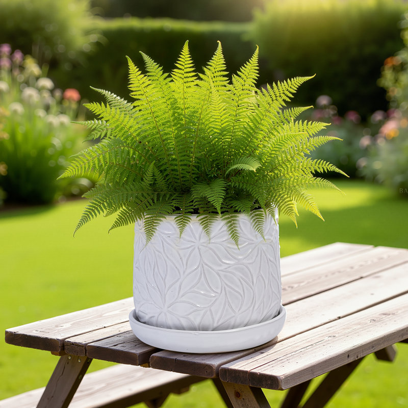 Ensemble de 2 pots de fleurs décoratifs pour l'intérieur et l'extérieur 8 po, Blanc antique