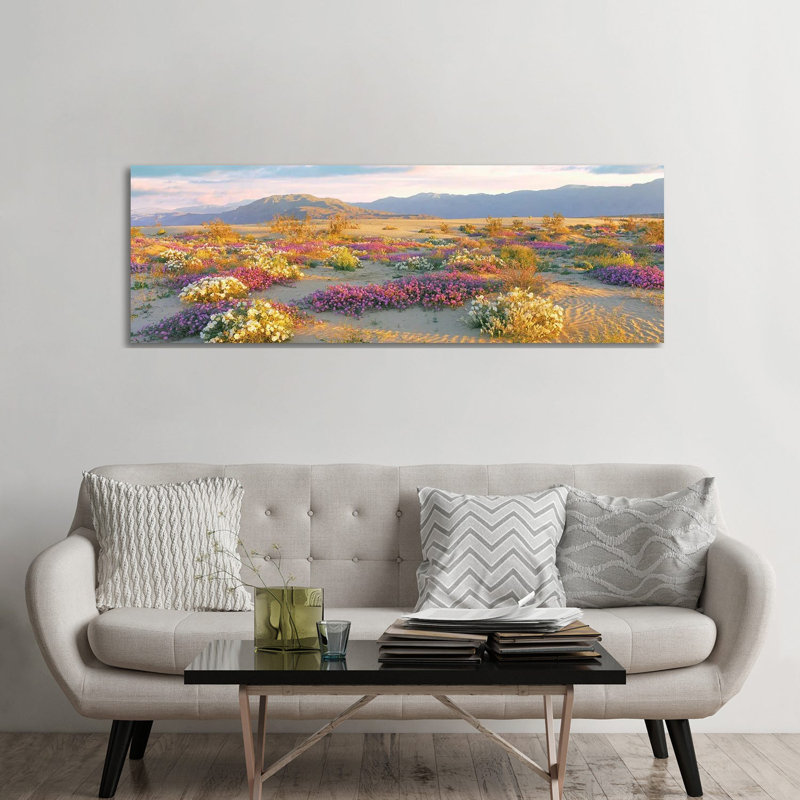 Sand Verbena And Primrose Growing In Sand Dunes Of Anza-Borrego Desert State Park, California, USA - Wrapped Canvas Panoramic Print