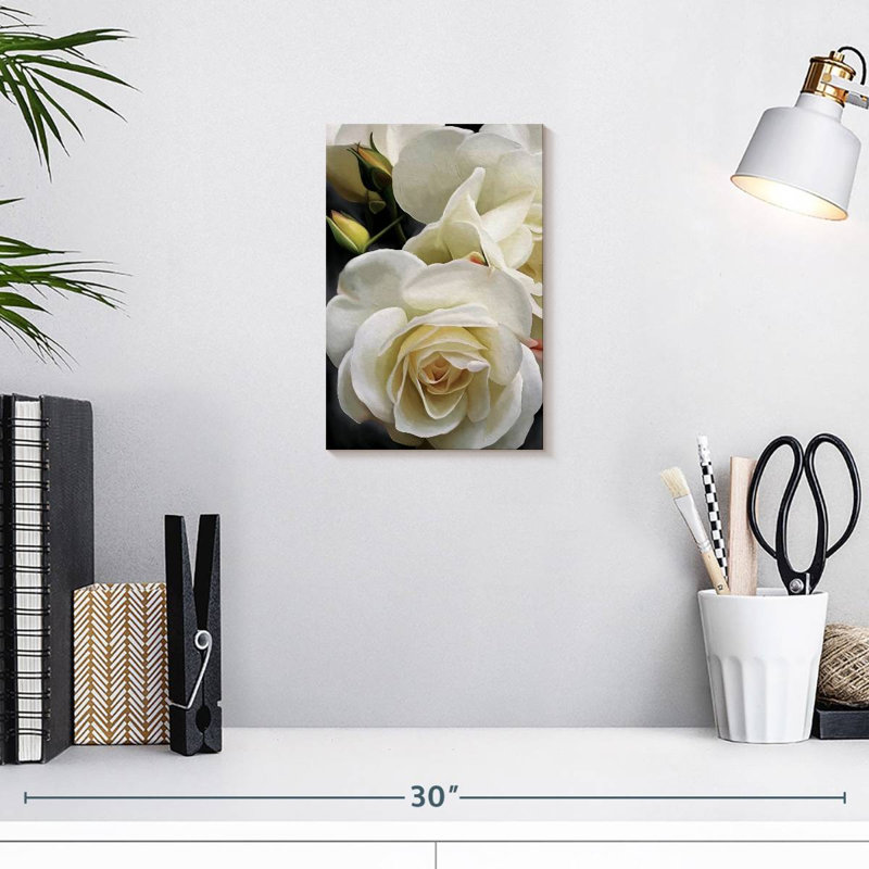 Harnek roses blanches crémeuses, H 12 po x l 8 po