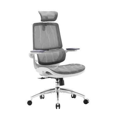 M59as Ergonomic Office Chair With 3d Lifting Armrests, Double Back, Adaptive Dynamic Lumbar Support by Sihoo