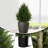 Cute Artificial  Cedar Potted Plant-1186459203-1186459200