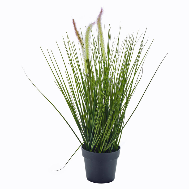 Faux Feather-Top Grass in Planter, 55cm H x 8cm W x 8cm D