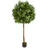 Ficus Artificial Tree-29433619