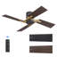 48inch 4 Double-Sided Black and Brown Blades Dc Motor Indoor Flush Mount Ceiling Fan With Remote, Black and NAB Gold-2072707660-2072707659