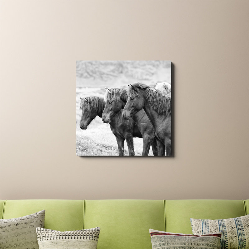 «B & W Horses X» par PHBurchett - reproduction de photo sur toile tendue, H 30 po x l 30 po, Toile tendue