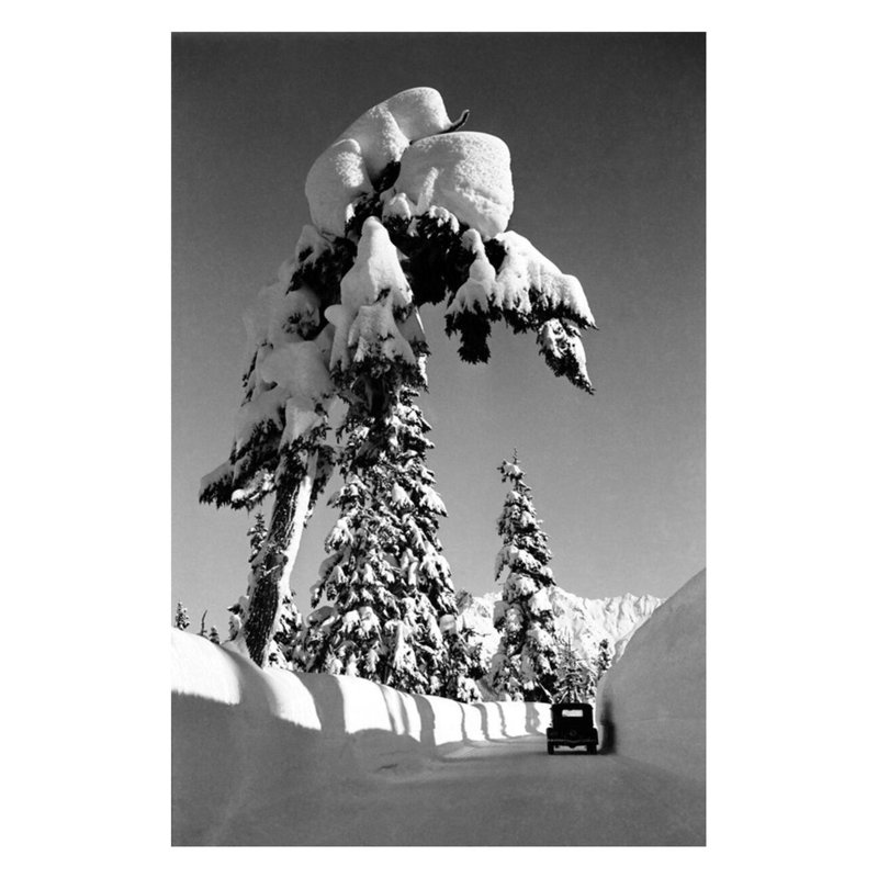 Mt. Baker Highway par Bert W. Huntoon - Estampe numérique, H 28 po x l 22 po