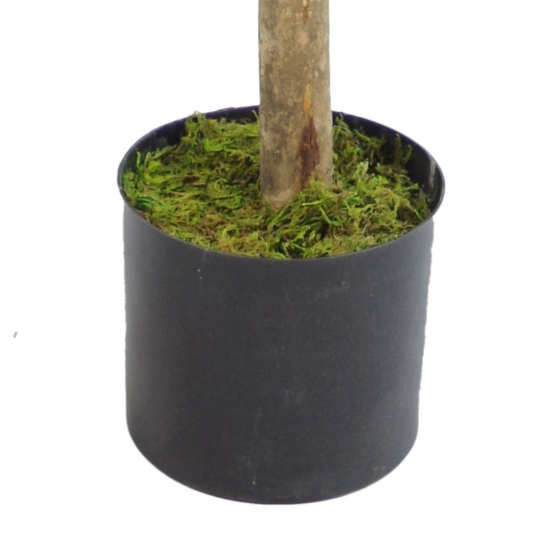 Anivea 80cm Faux Topiary Tree in Pot