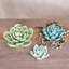 Fleur de désert en céramique Arciniega-860255304-860255305