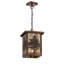 Tamarack 1 - Light Pendant