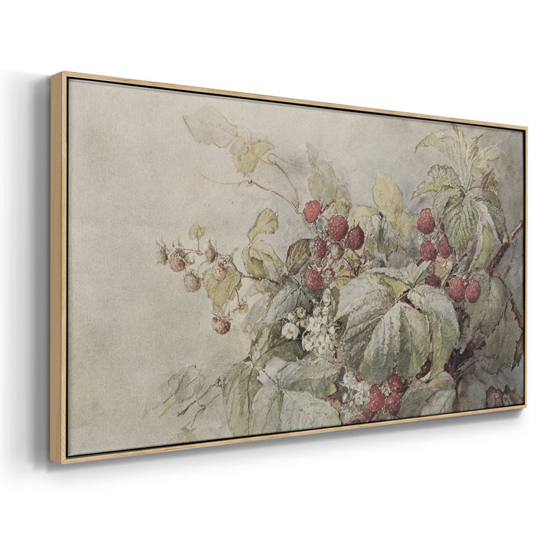 Botanical Series-CDL III- Toile tendue avec châssis tendue, prête à être accrochée, Naturel, H 17 po x l 33 po