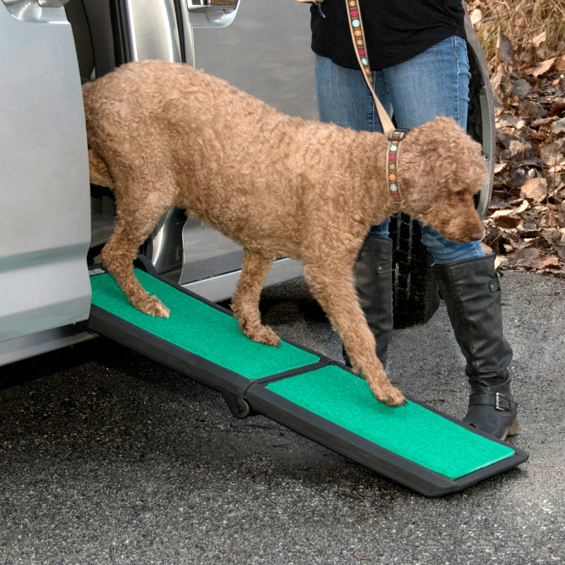 Portable Black and Green Bi-Fold Pet Ramp with Supertrax