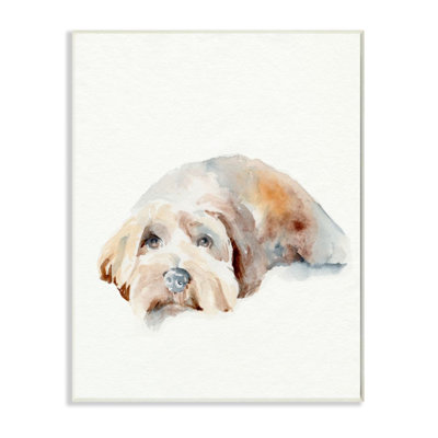 " Scruffy Dog Laying Down House Pet Painting " by Jennifer Paxton Parker