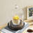 Vidu Display Clear Cloche with Wood Base